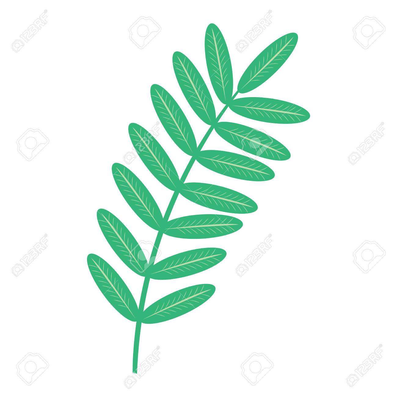 1300x1300 Huge Collection Of 'seaweed Underwater Drawing' Download More