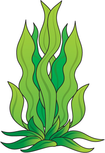 354x517 Underwater Plants Clipart