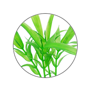 300x300 Cousduobe Artificial Aquatic Plants Pcs Small