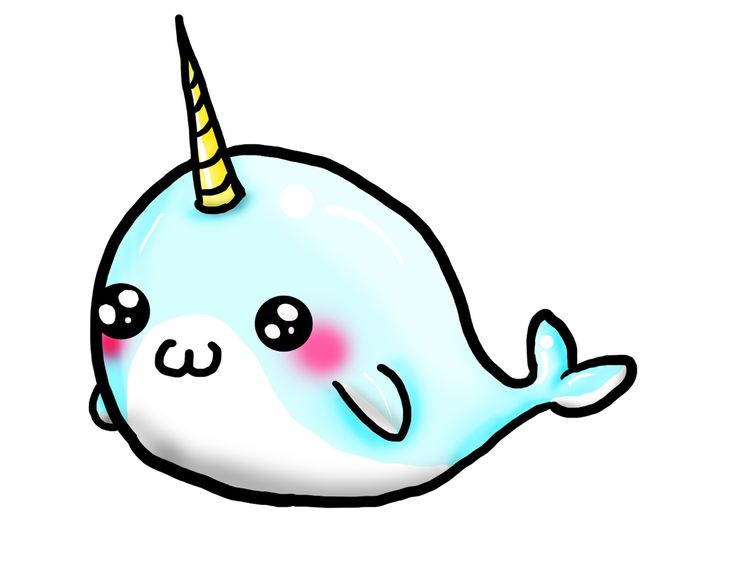 736x582 Unicorn Narwhal Transparent Png Clipart Free Download