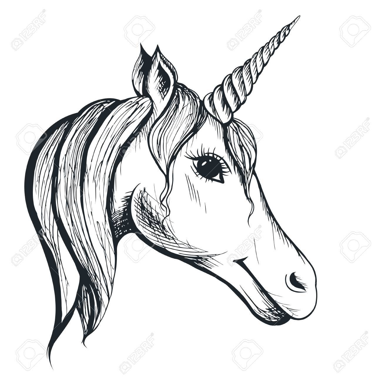 1300x1300 Drawn Unicorn Head
