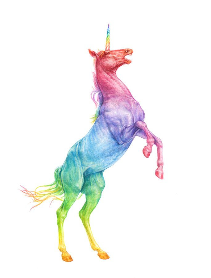 684x900 I Do What I Want Unicorn Giclee Print Framed Wall Etsy