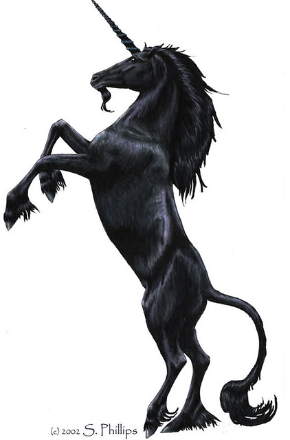 422x639 black unicorn drawing colored pencil suzanne phillips
