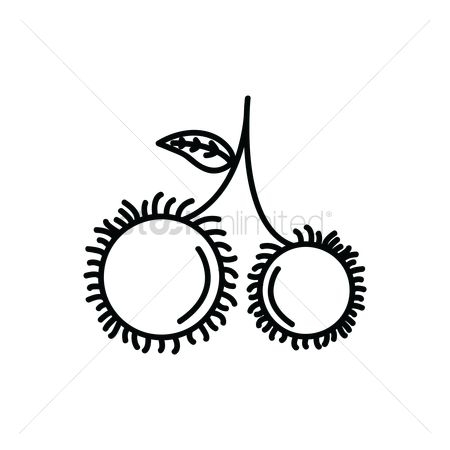 450x450 Ideas Vector Art Rambutan Vector Illustration Clipart Drawing