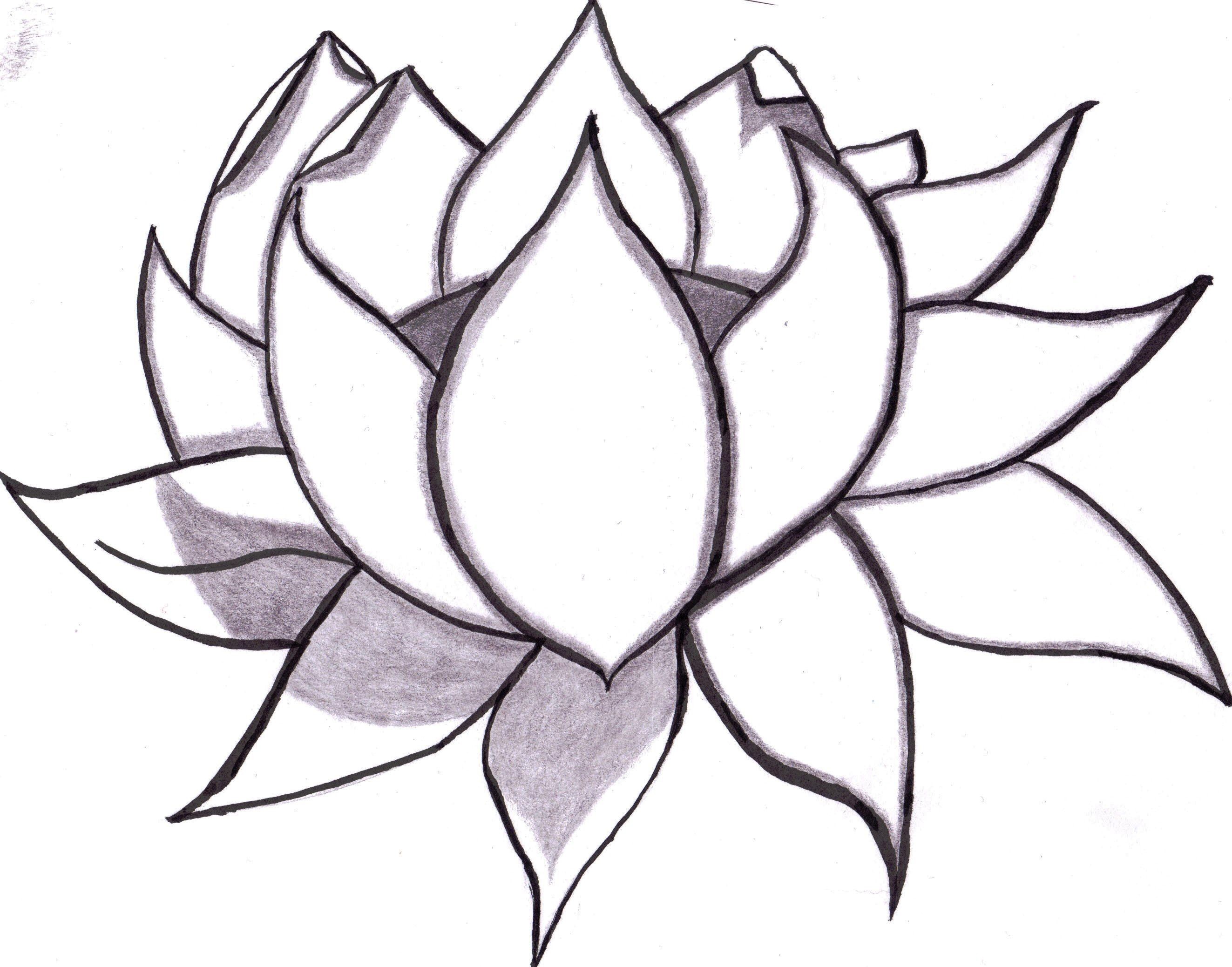 2646x2077 Cool Flower Drawings Save Cool Easy Drawings Of Flowers