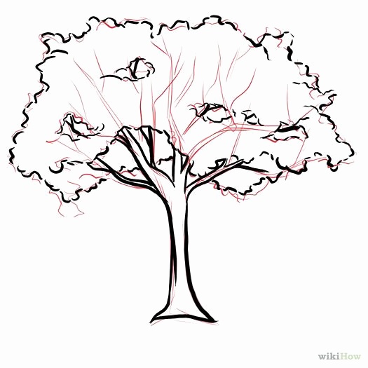 525x525 Clip Art Tree No Leaves Unique Stick Tree Drawing