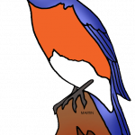 150x150 How To Draw New York State Bird United States Clip Art Phillip