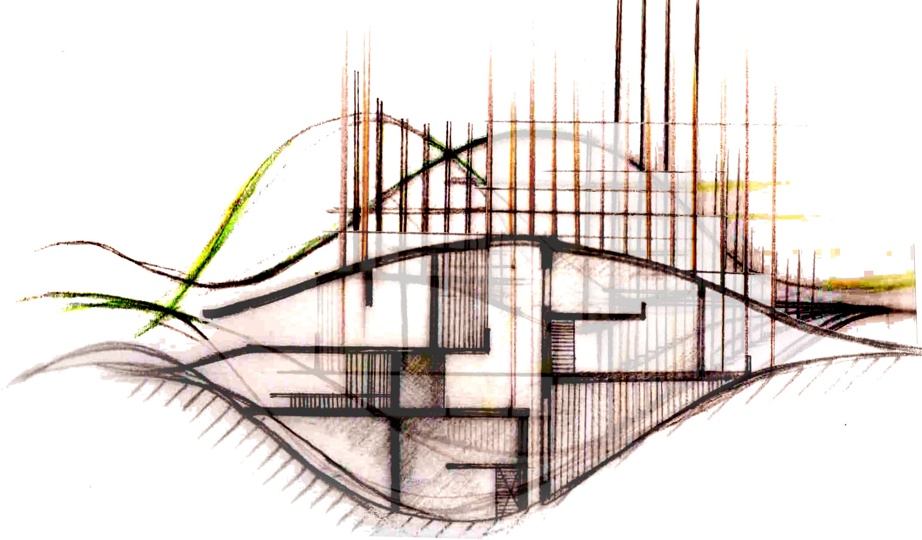 3148x1844 Abstractcontouring