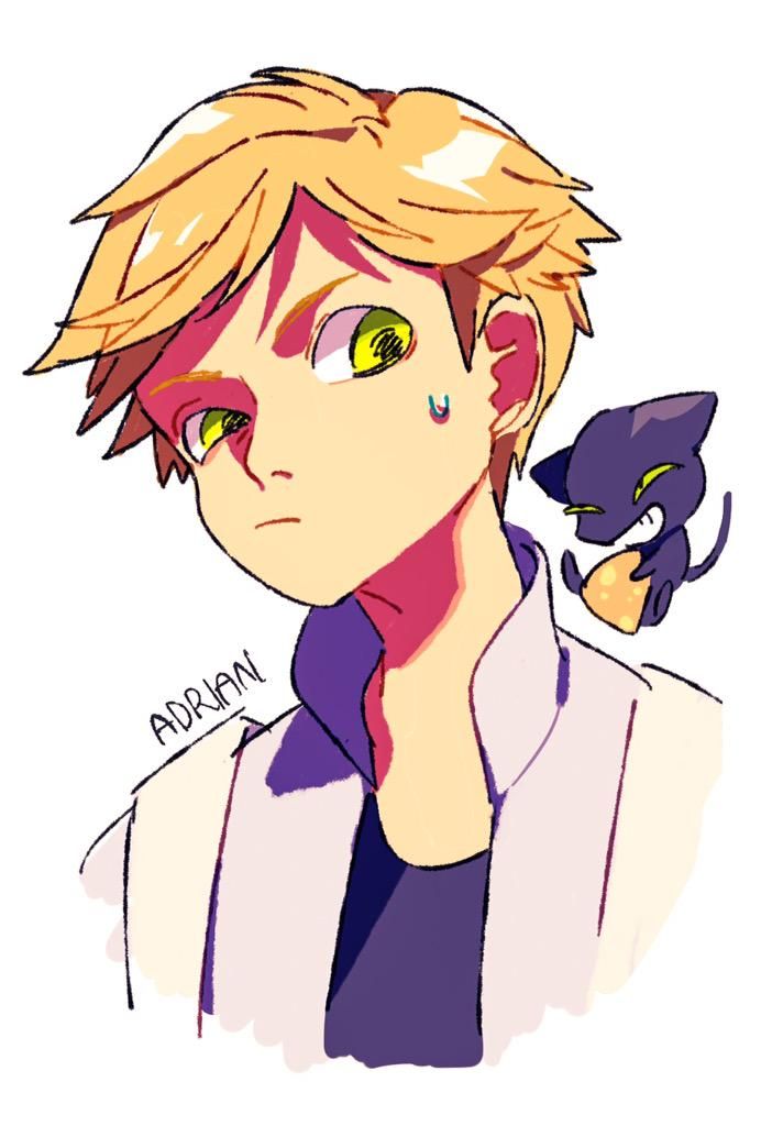 692x1024 Miraculous Ladybug Cat Noir Adrien Agreste