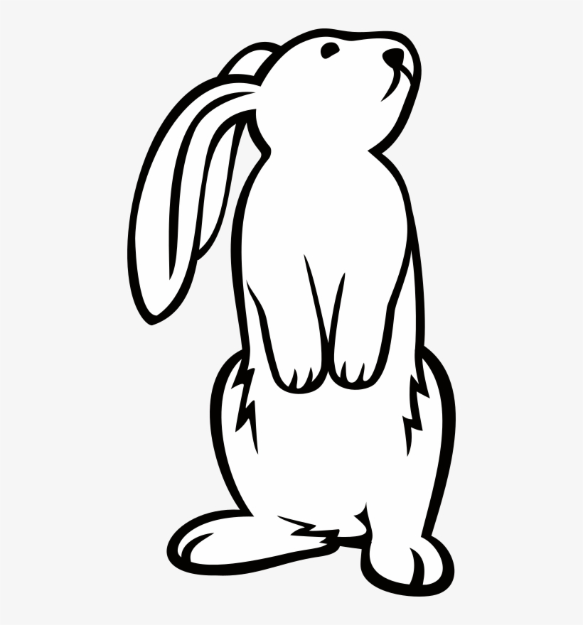 820x880 White Rabbit Clipart Images