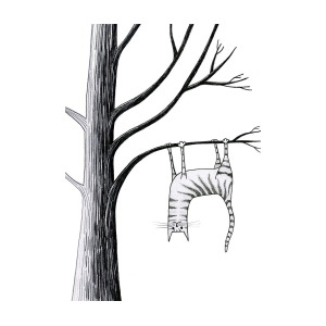 300x300 Upside Down Drawing