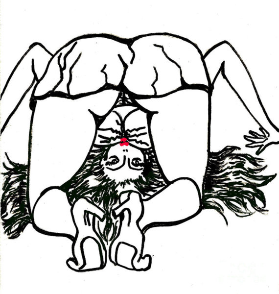 570x600 Upside Down Drawings