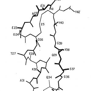 300x300 Refrence How To Draw A Map Of The Us Conus