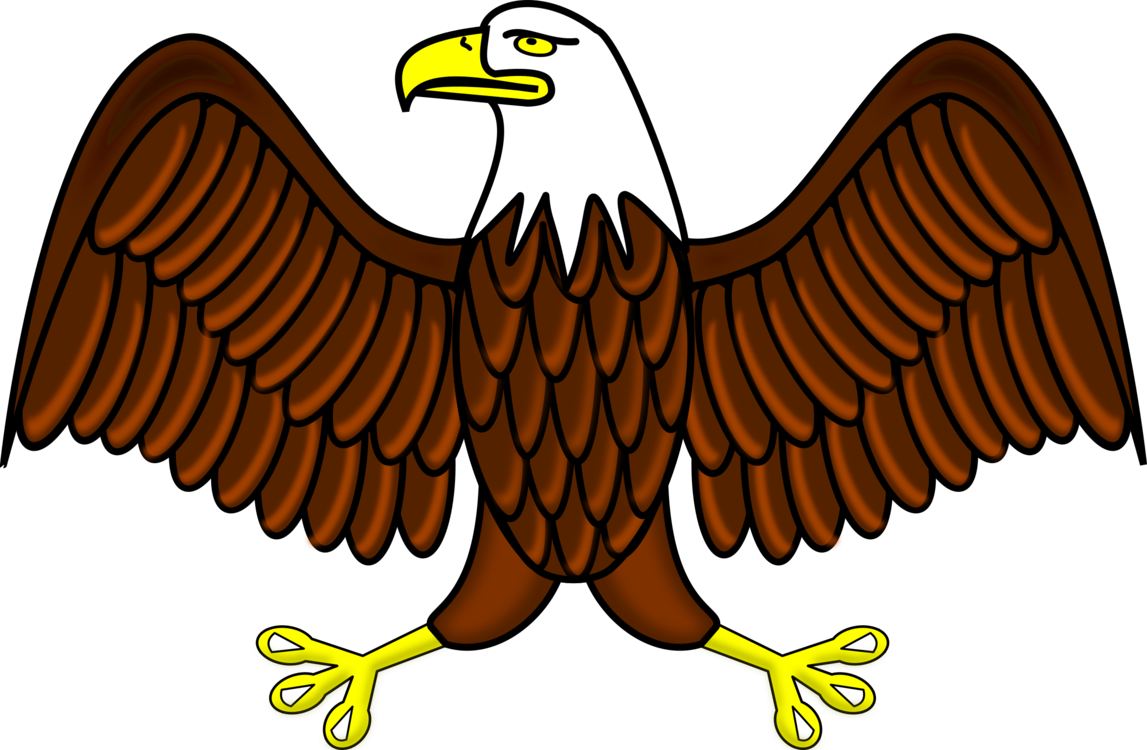 1147x750 Nationalism Drawing Eagle Usa Transparent Png Clipart Free