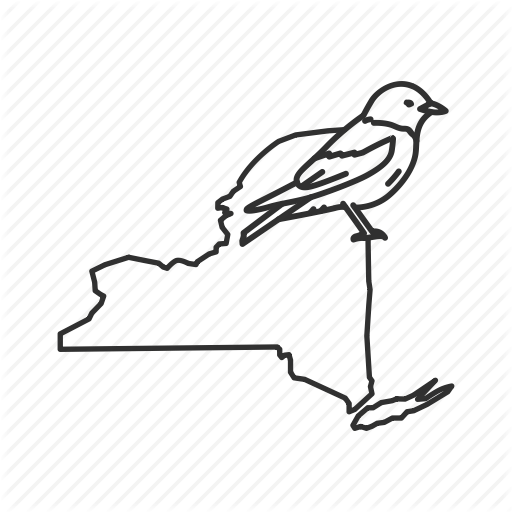 512x512 borders, map, new york, state, state bird, state symbol, usa icon