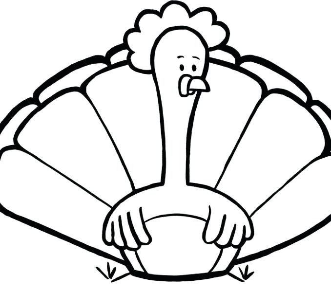 678x600 Turkey Drawing Pictures