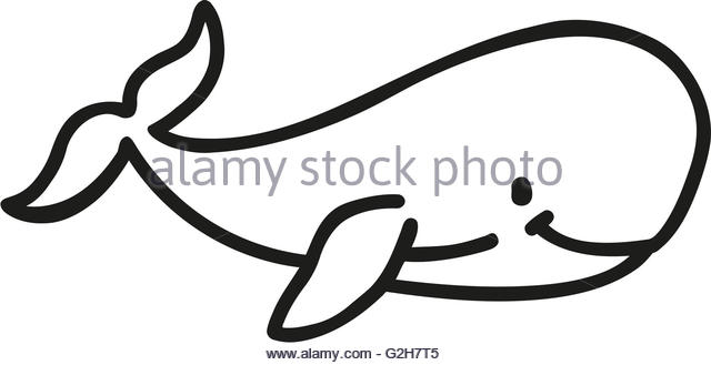 640x329 Whale Cartoon Drawing Cartoon Whale Drawing