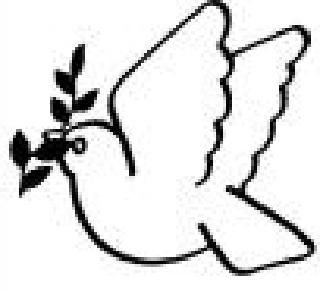 320x292 patricia s usher obituaries