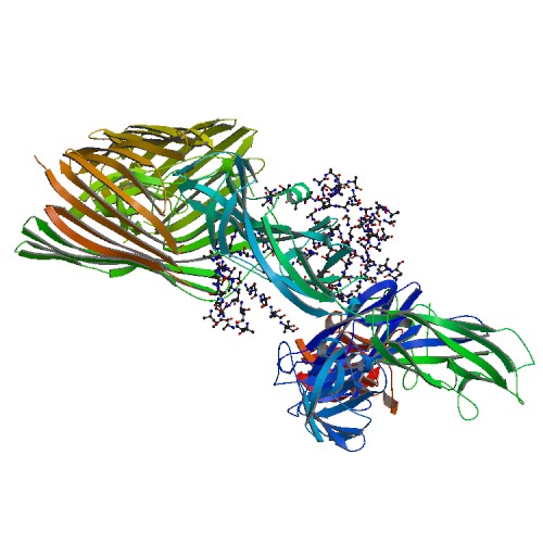500x500 Rcsb Pdb