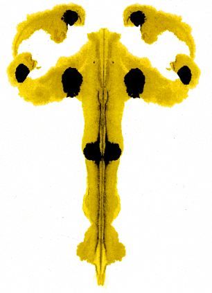 306x423 Unravel The Secrets Of Your Psyche Your View Of These Ink Blots