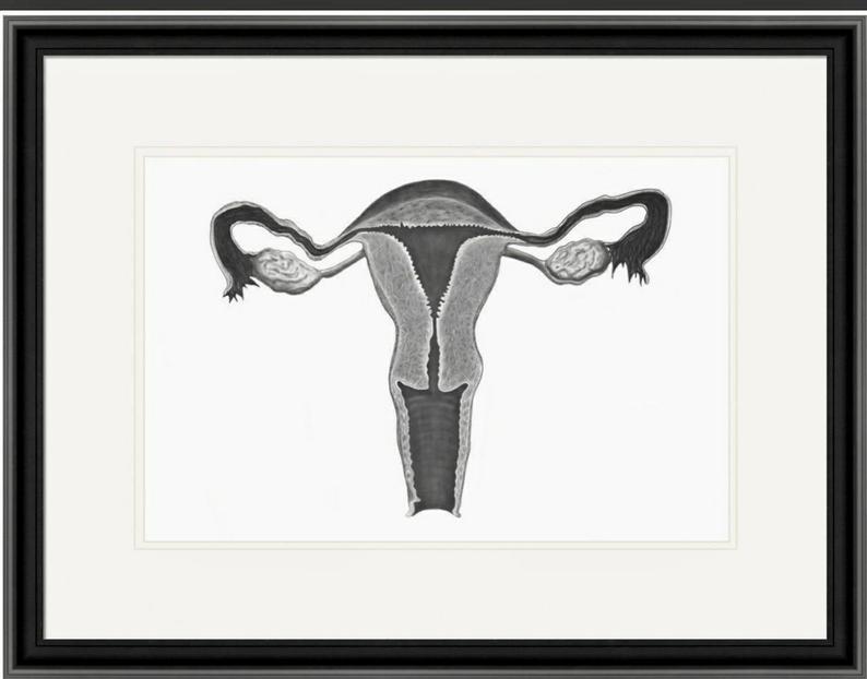 794x622 uterus hand drawn pen art etsy