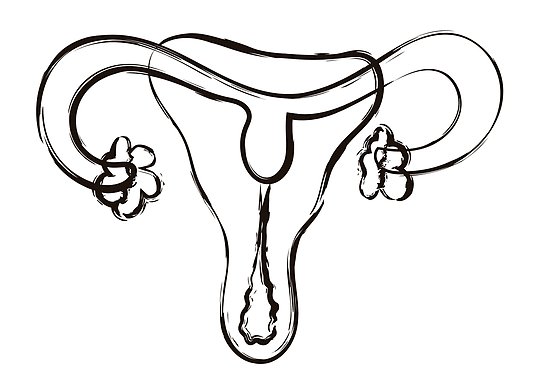 550x389 Feminist Uterus Posters