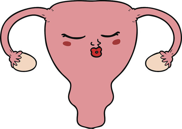 Collection of Uterus clipart | Free download best Uterus clipart on ...