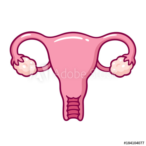 500x500 cartoon uterus drawing