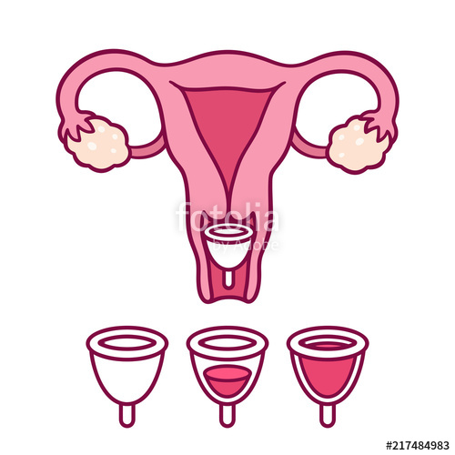 500x500 cartoon uterus drawing stock image and royalty free vector
