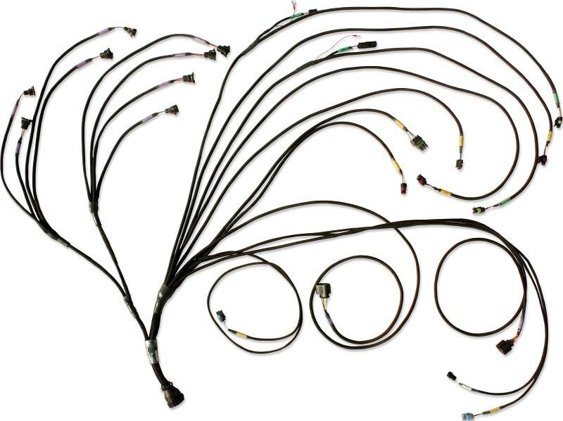 800x598 Fueltech Pro Harness