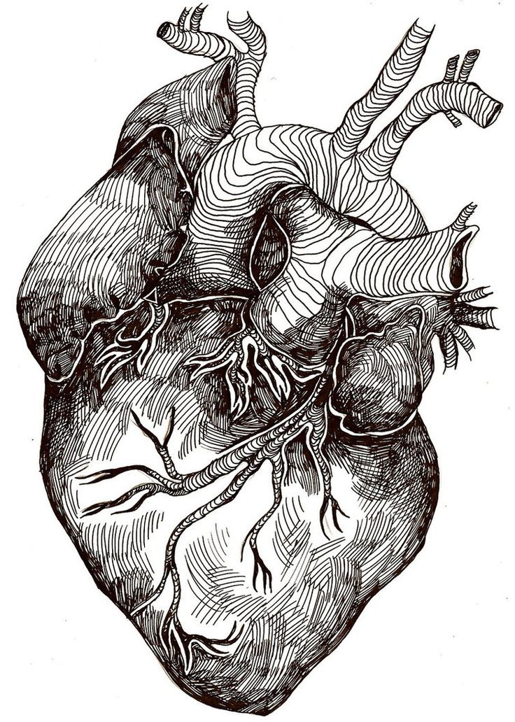 736x1032 Tonal Drawing Heart For Free Download