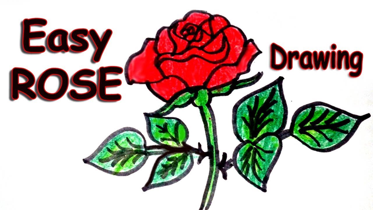 1280x720 How To Draw A Rose Step