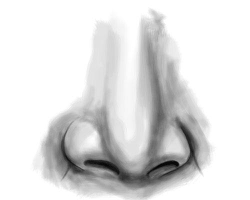 500x400 How To Draw A Nose