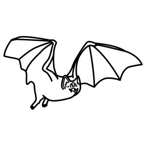 300x300 Learn How To Draw Animals Step