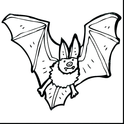 500x500 Vampire Bat Coloring Pages