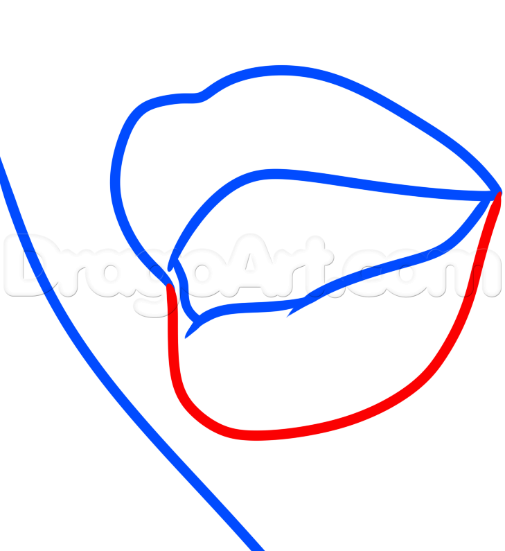 729x795 How To Draw A Vampire Mouth, Step