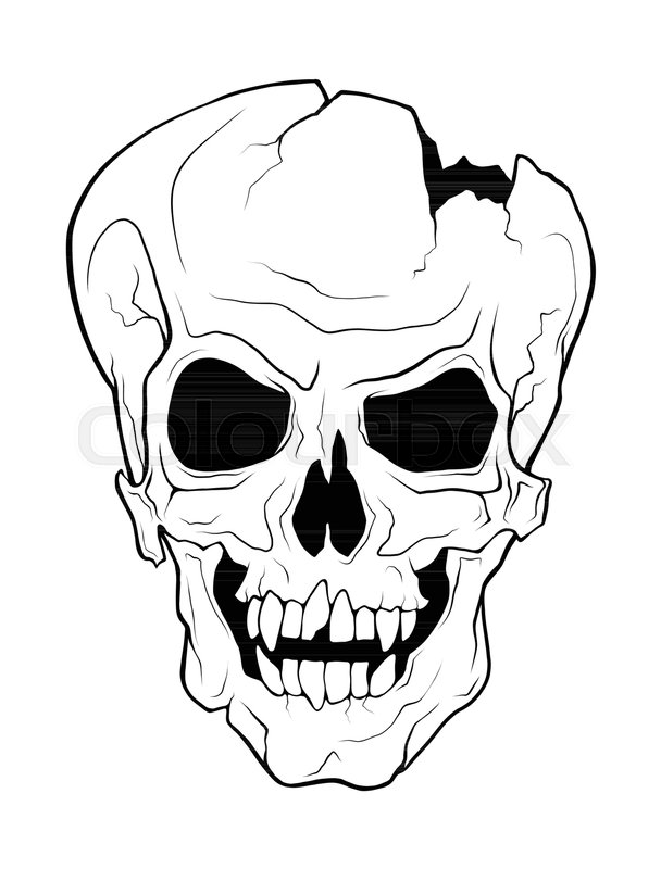 608x800 The Skull Of A Grinning Vampire Stock Vector Colourbox