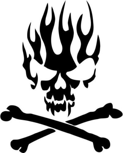 403x500 Vampire Skull Flame Tribal Crossbones Death Car Truck