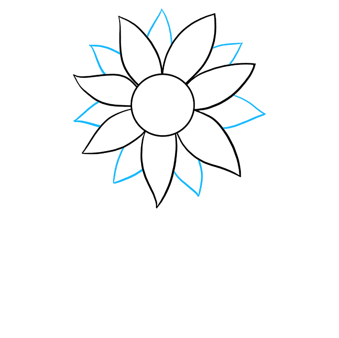 680x678 How To Draw A Sunflower