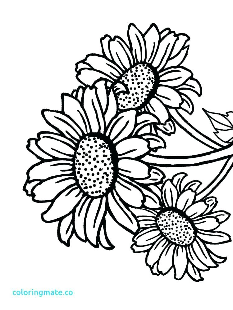 750x1000 Simple Sunflower Coloring