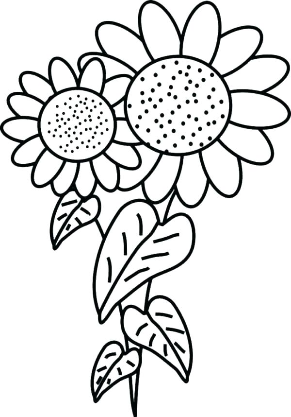 600x858 sunflower coloring coloring pages van van sunflowers coloring