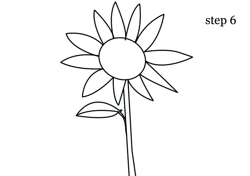 1024x720 Sunflower Drawing Easy