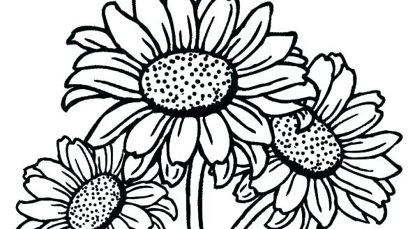 Van Gogh Sunflowers Drawing | Free download on ClipArtMag