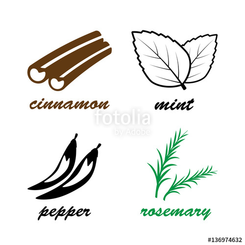 500x500 vanilla pods or sticks hand drawing sketches isolated stock image