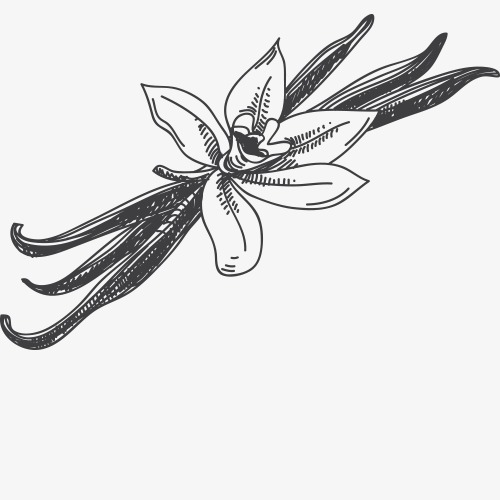 500x500 Black And White Sketch Flower Sketch Stick Figure, Flowers, Hand