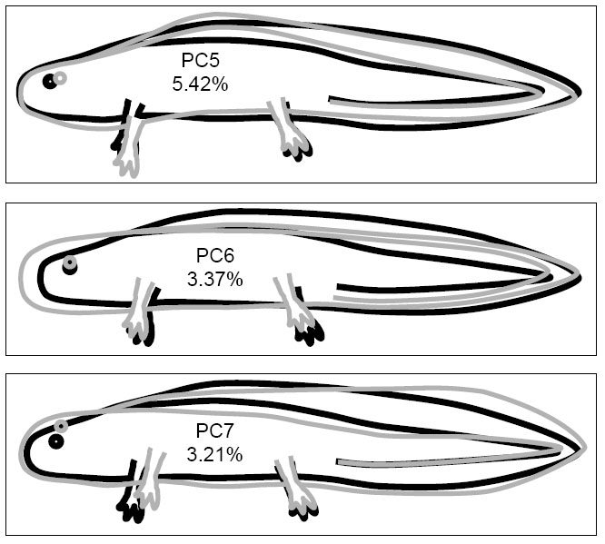 666x599 ecological archives