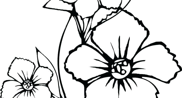 728x393 Coloring Pages Coloring Flowers For Kids Flower Vase Drawing