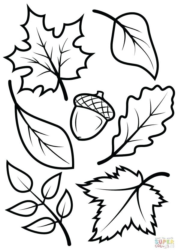 593x840 Free Coloring Pages Of Flowers In A Vase For And Hearts I