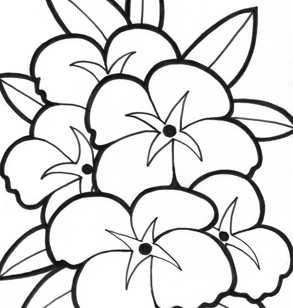 1000x1050 Simple Flower Vase Coloring Pages Sheets For Preschoolers Online