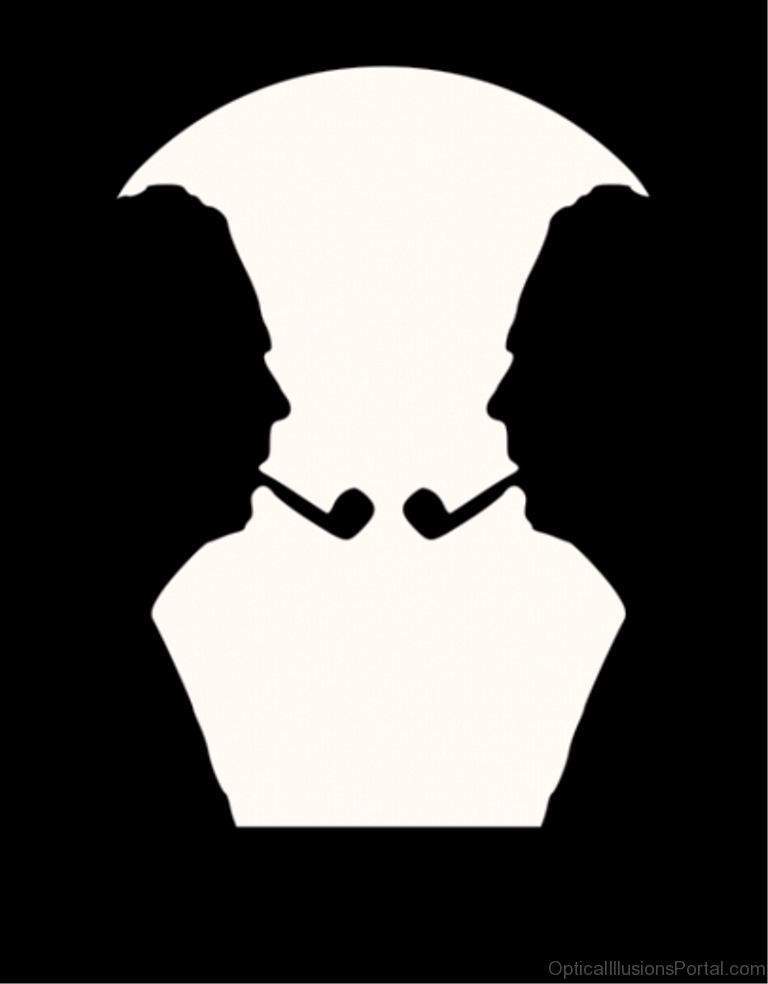 768x984 Awesome Multiple Meanings Illusion